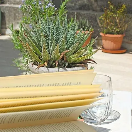 Dimora Vera 嘉拉蒙提·古非