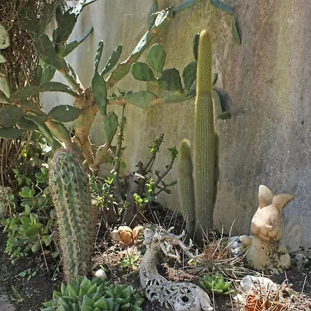 度假居 Dimora Vera *